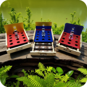 Portable Rana Toss Game_3